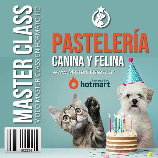 Curso Pastelería Canina y Felina