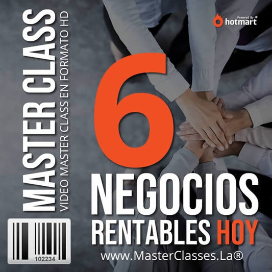 Curso 6 Negocios Rentables