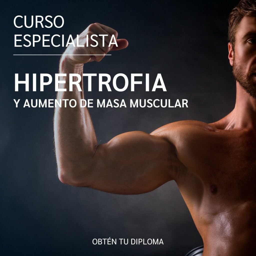 CURSO DE HIPERTROFIA