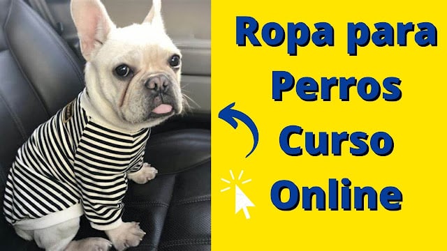 Curso fabricar ropa para Perros