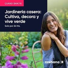 Curso online de Jardinería casera Cultiva, decora y vive verde